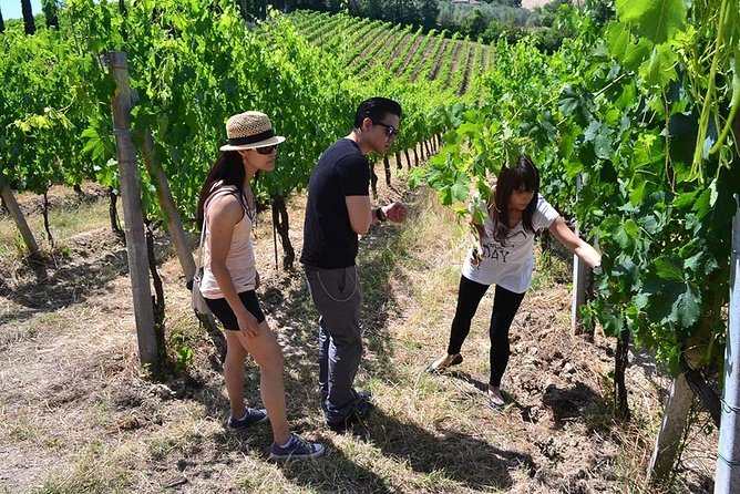Tuscany Region Guided Small-Group Wine Tasting From Florence - Cancellation Policy