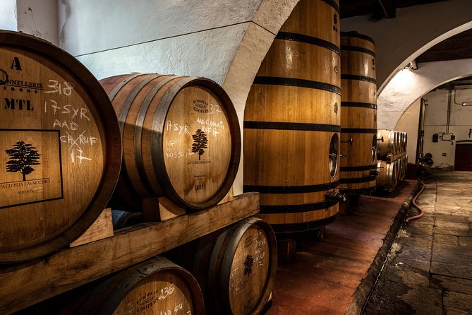 Tuscany Winery Lunch Plus Pottery Class or Horseback Riding  - Florence - Relaxation by the Pool