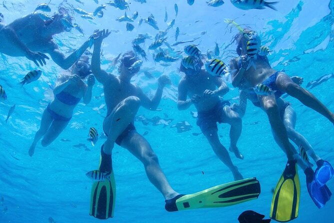 Two Dives for Certified Divers and Snorkeling in Fujairah - Convenient Hotel Transfers From Dubai