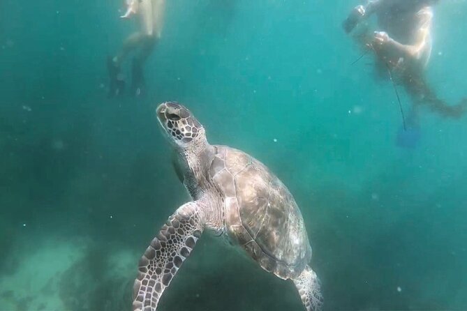 Two Hour Kayak and Snorkel Tour for Two in La Jolla - Directions