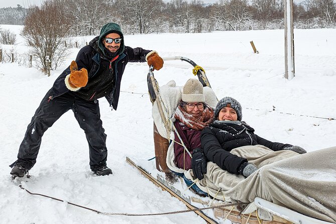 Ultimate Dog Sledding Tour - Day Trip From Ottawa & Gatineau - Review Excerpts From Satisfied Participants