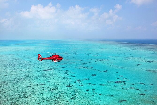 Ultimate Great Barrier Reef and Rainforest 45-minute Helicopter Tour - Points of Interest