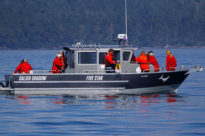 Ultimate Marine Whale & Wildlife Tour - Customer Reviews and Whale Sightings