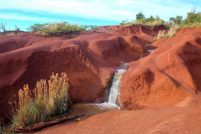 Ultimate Self-Guided Audio Driving Tour of Kauai (Na Pali, Waimea), Hawaii - Feedback and Experiences of the Tour