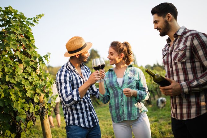 UNESCO Heritage and Wine Delights Private Tour From Bordeaux - Additional Information