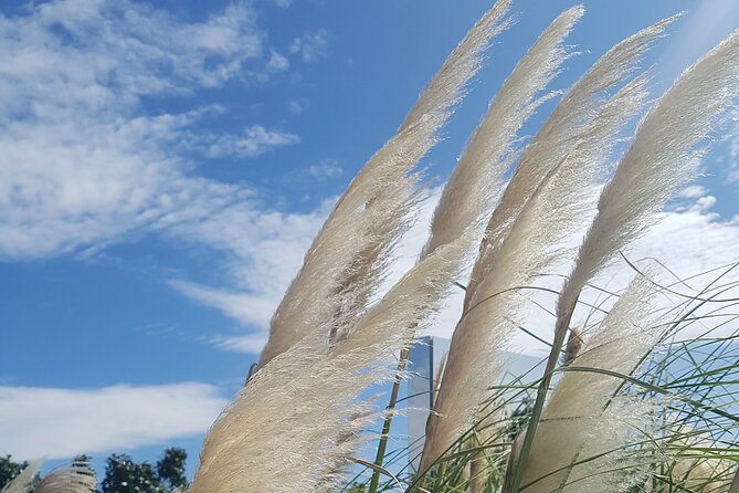 UNESCO Private Guided Culture and Nature Tour in JeJu Island - Questions
