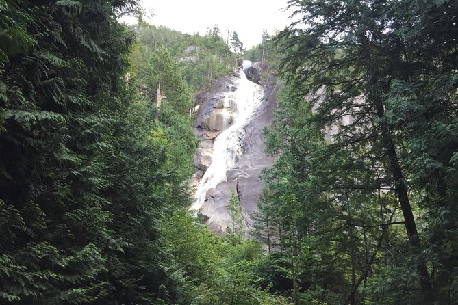Unforgettable Whistler ( Full Day Private Tour) - Reviews and Testimonials