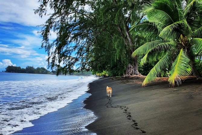 Unique Tahiti Tour - Private, Personalised, Small Group, East Coast Tour - Read Positive Reviews and Testimonials