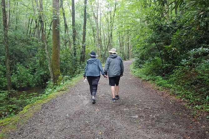 Unplugged Waterfall Hike in the Smokies - Safety Tips and Precautions