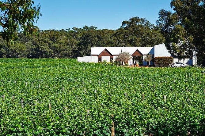 Upper Reach Winery: Swan Valley Winery and Vineyard Tour - Directions to Upper Reach Winery