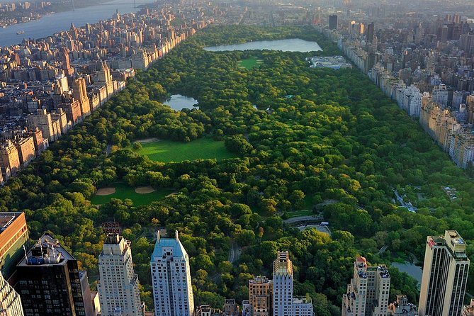 V.I.P. 2-hour Central Park Pedicab Tour - Reviews and Testimonials
