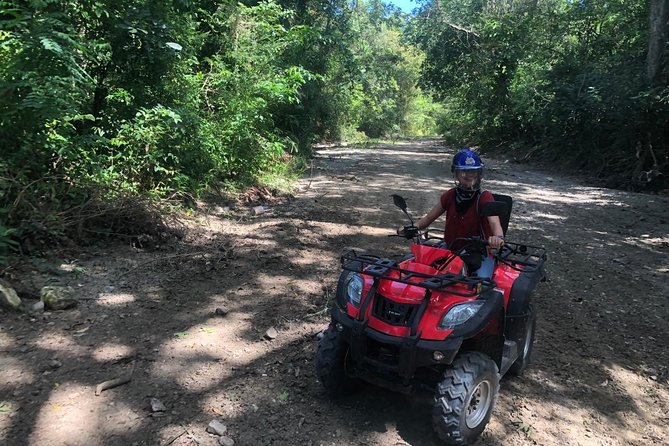 V.I.P. DayPass: ATV, Zip Lines, Horseback Riding & Pool Zip N Splash - Zip Lines, Horseback Riding & Pool Zip N Splash