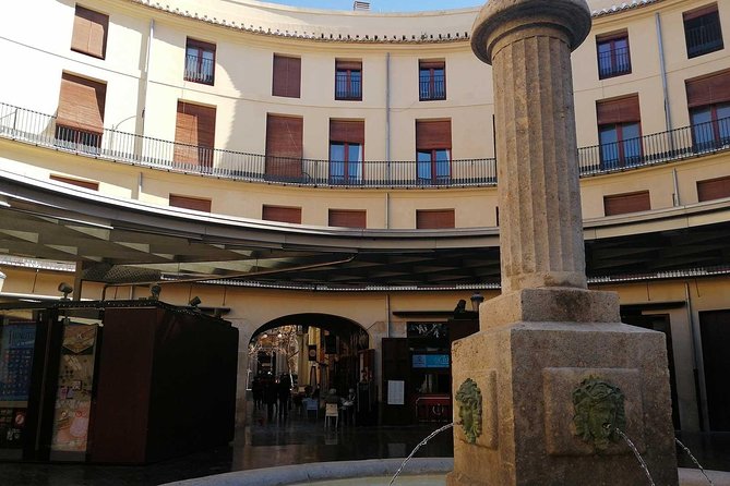 Valencia Historical Private Tour With Paella Meal - Accessibility and Schedule