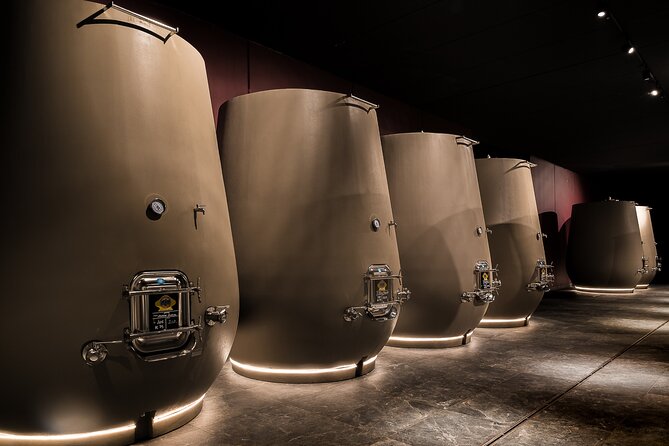 Valpolicella Wine Tasting Experience & Light Lunch - Additional Information and Reviews