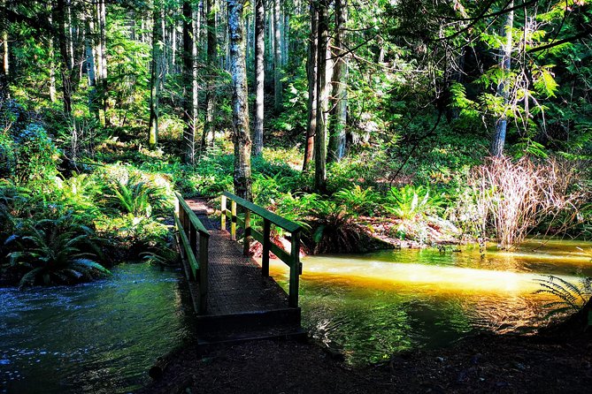 Vancouver Island Rainforest Guided Hike With Private Guide - Traveler Photos and Reviews