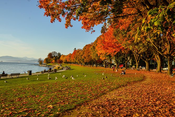 Vancouver Photography Private Tour Including Stanley Park - Tour Reviews