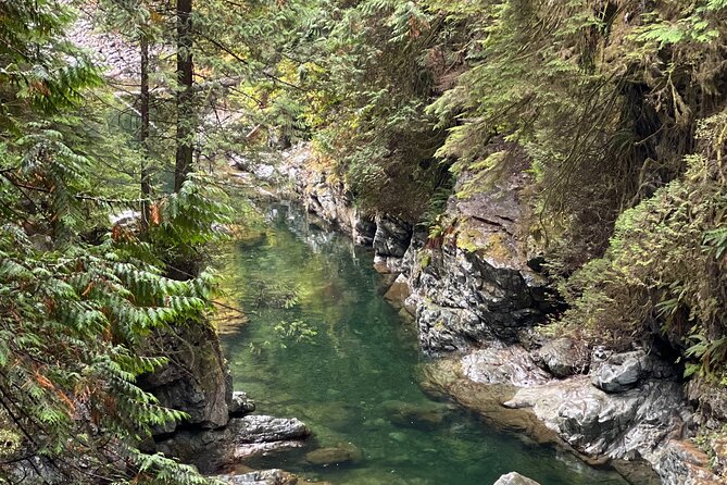 Vancouver Rainforest Hike With Waterfalls, Suspension Bridge, Old Growth Forest - Traveler Photos and Reviews