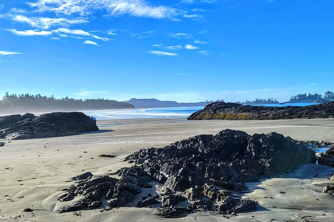 Vancouver to Tofino 2 Day Tour Private - Assistance and Contact Information