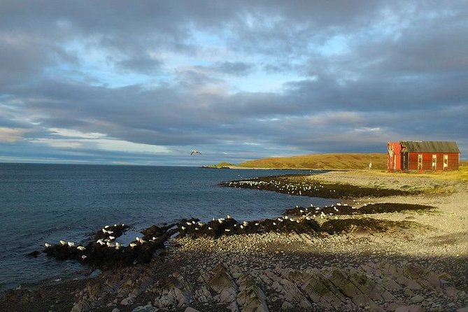 Vardo: Pomors, Radars and Witches in the Far North Audio Tour - Reviews and Insights From Other Travelers