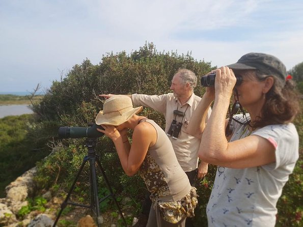 Vendicari - Sicilys Best Coast Nature Reserve ( Birdwatching & Archeology ) - Flamingo Spotting in Vendicari