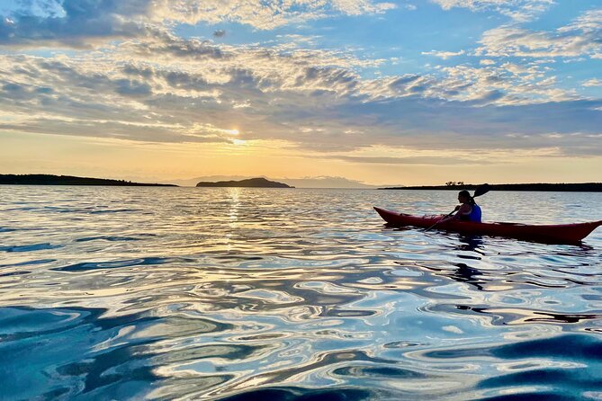 Venetian Port Kayaking - Reviews