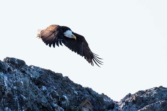 Victoria Marine Wildlife Tour - Cancellation Policy