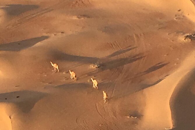 Views Of Dubai Beautiful Desert By Hot Air Balloon From Dubai - Traditional Arabian Breakfast After Landing
