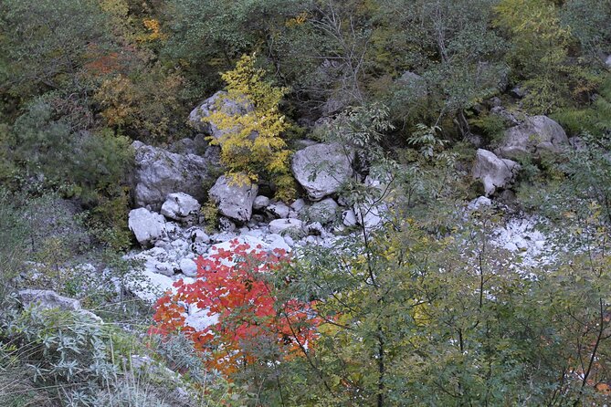 Vikos Gorge Guided Full-Day Hike  - Epirus - Cancellation Policy and Weather Conditions
