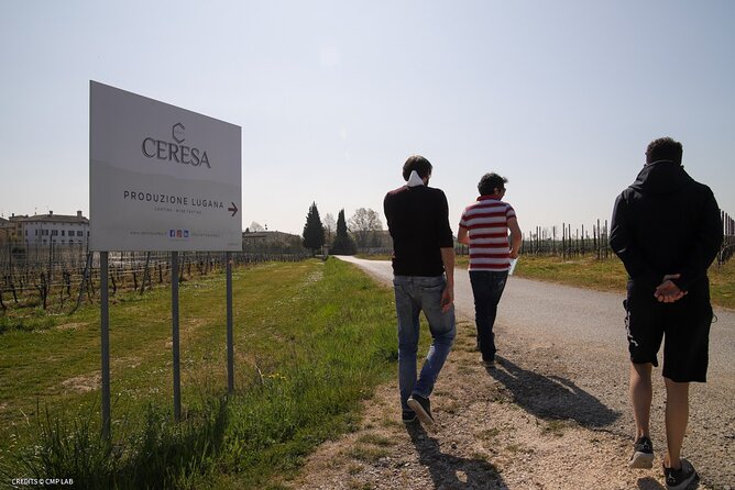 Vineyard Tour and Tasting of Lugana Wines - The Sum Up