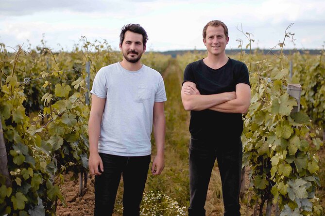 Vineyard Tour and Wine Tasting in Davron - Reviews and Ratings