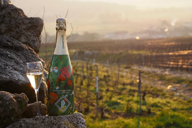 Vineyard Walking Tour & 2 Champagnes Tasting - The Sum Up