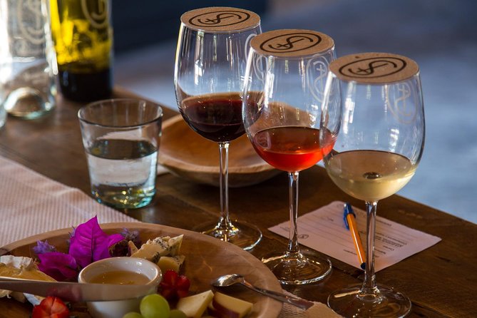 Vineyards, Wine Tasting and Pairing in San Miguel - What to Expect