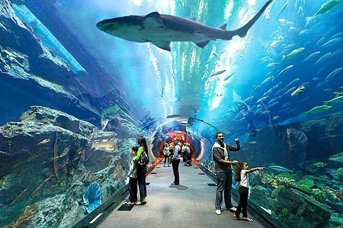 VIP Experience Dubai Aquarium & Underwater Zoo-As per Selection - Directions