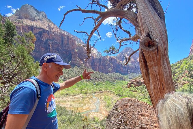 VIP Guided Photography and Walking Tour of Zion National Park - Overall Experience and Value