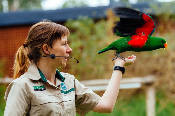 VIP Sanctuary Tour at Healesville Sanctuary Ticket - Common Questions