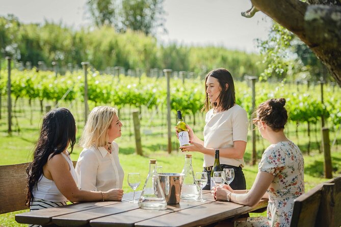 VIP Wine Experience Montalcino & Montepulciano With Lunch - Additional Information