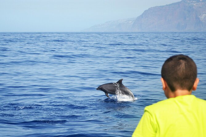 VipDolphins Luxury Whale Watching - Additional Information