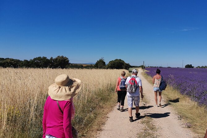 Visit a Lavender Fields Farm and Enjoy a Yoga Class in Provence - Tips for a Relaxing and Enjoyable Experience