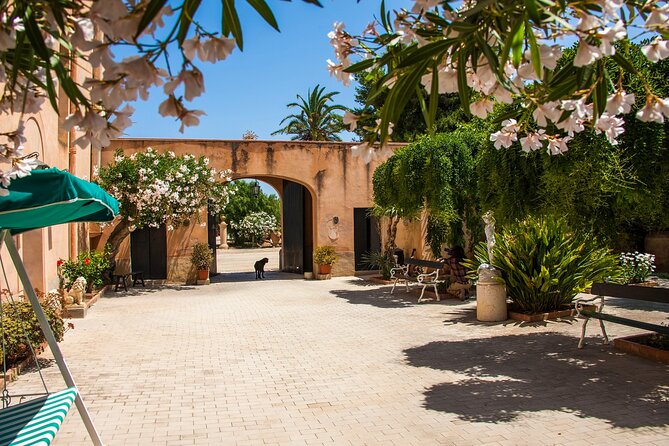Visit and Private Tasting of EVO Oil and Organic Wine - Directions