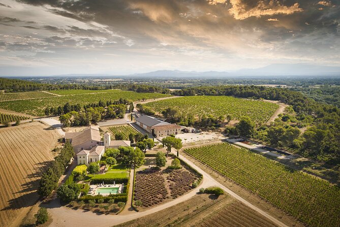 Visit of the Cellars of Château Gigognan With Tasting - The Sum Up
