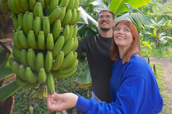 Visit the Ethnographic Park of La Gomera - Miscellaneous