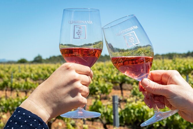 Visit to the Winery With Wine Tasting and Appetizers in Navarra - Traveler Photos and Reviews