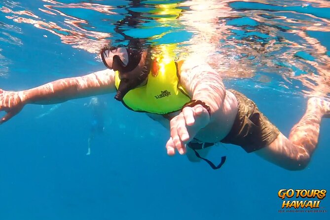 Waikiki Green Sea Turtle Snorkeling Tour - Boat Excursion - Directions