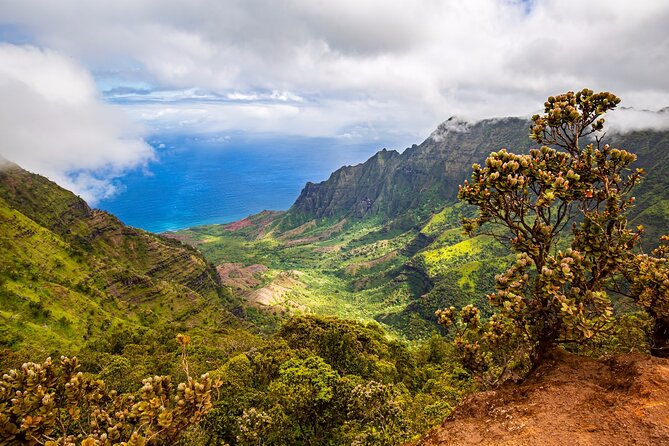 Waimea Canyon Private Tour With Local Guide - Traveler Photos