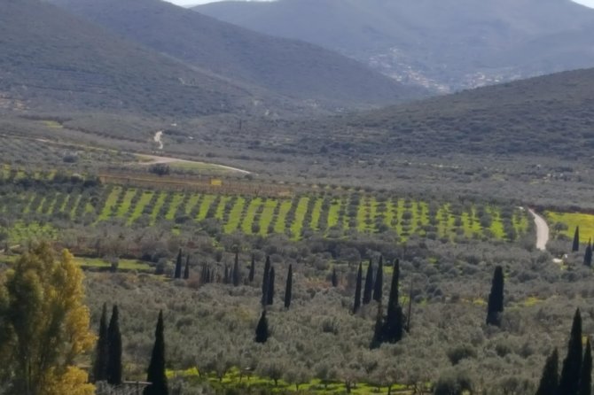 Walk at the Paths of Olive Groves and Vineyards in Monemvasia - Pricing and Payment