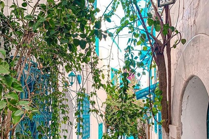 Walking Tour in Carthage - Reviews and Recommendations for the Carthage Walking Tour