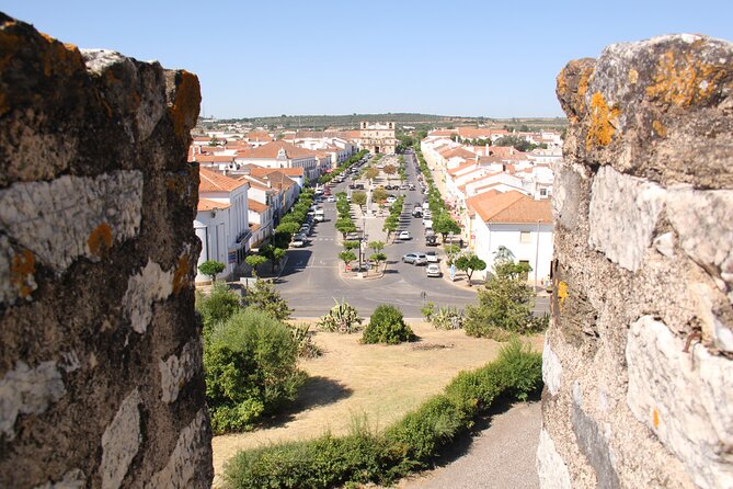 Walking Tour in Vila Viçosa - Convenient Questions and Support Services