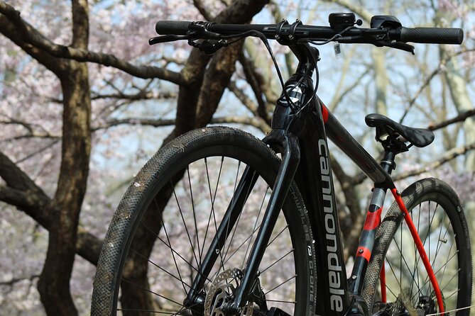 Washington DC Ebike Rentals - Common Questions