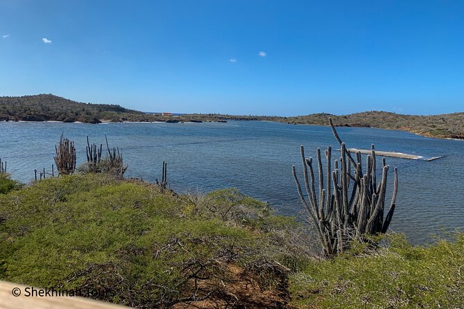 Washington Park Tour With Local Guide on Bonaire - Location and History