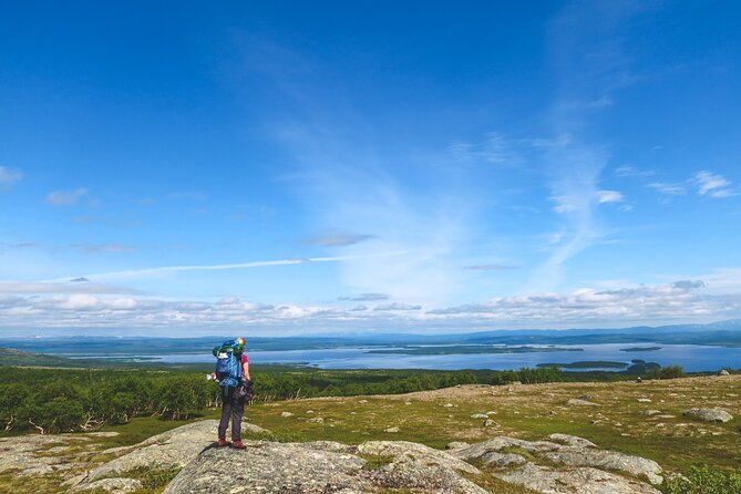 Waterfalls of Sweden Full Day Tour - Wildlife and Nature Encounters